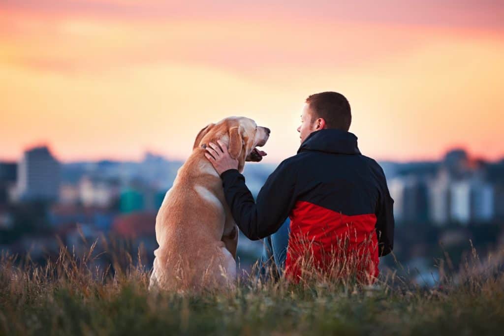 Active guy with his dog enjoying the sun going down